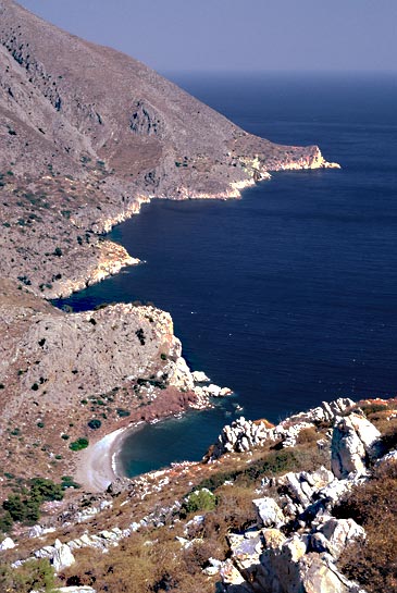 Hydra