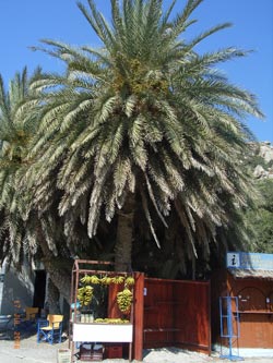 hidden greece